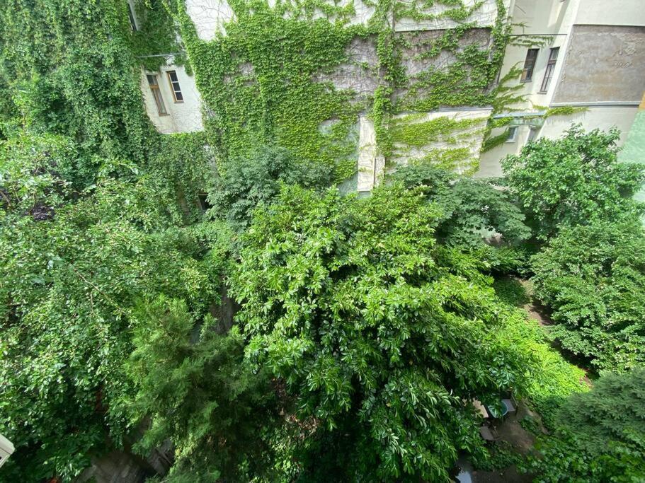 Raday Street, Spacious, Modern Apartment Budapeste Exterior foto